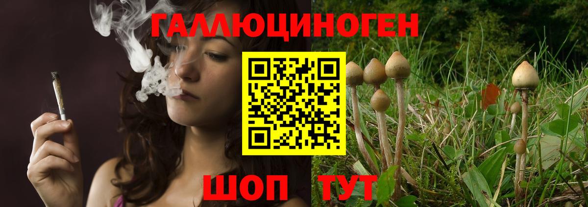 Галлюциногенные грибы мицелий Кимовск